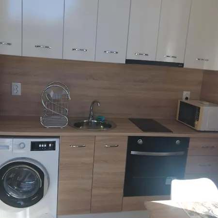 Vasilevi Pensiune 4*